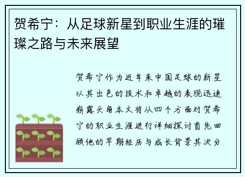 贺希宁：从足球新星到职业生涯的璀璨之路与未来展望