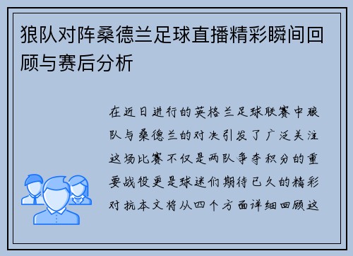 狼队对阵桑德兰足球直播精彩瞬间回顾与赛后分析